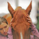 Behandlung Pferd equi-librium - energetische Osteopathie für Pferde