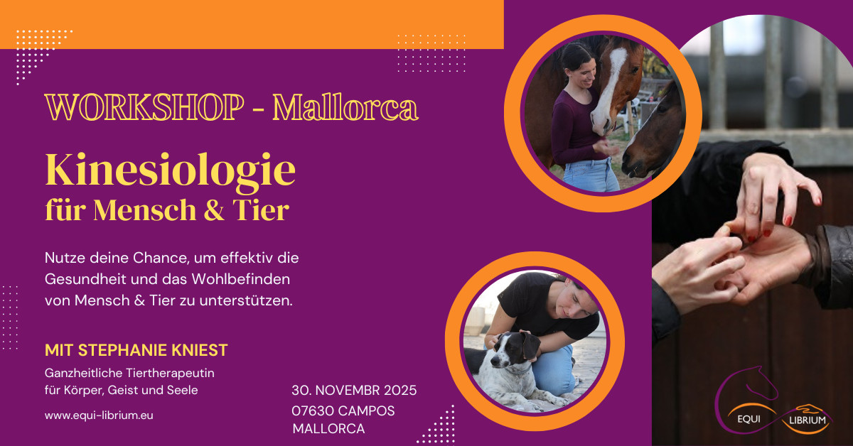 Workshop_Kinesiologie_Mallorca Kinesiologie Mallorca
